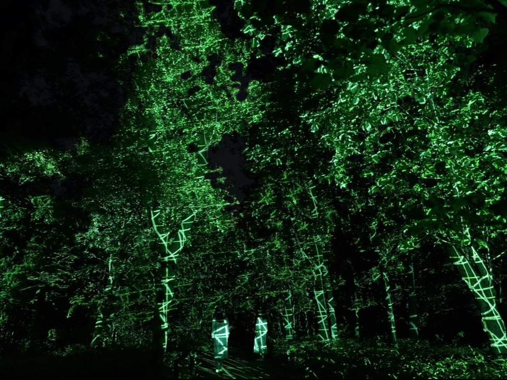 Walk, Walk, Walk - �񎟗с^ �X�̖؁X�������A�����ő��l�ȏё��Q������������B �l�X�́A������I�сA�������̂āA�ނ�ƑΛ����Ȃ���ӏ܂���B