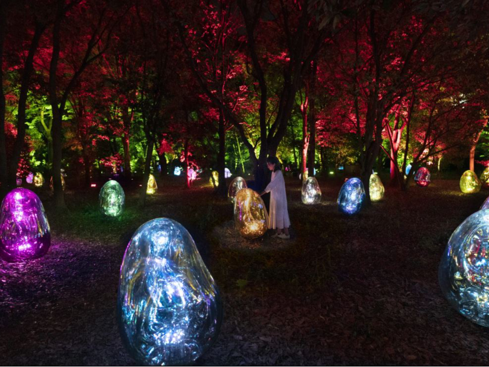 �c�o�L���̌ĉ����鏬�F�� - �Ō`�����ꂽ���̐F, Dusk to Dawn�^�����Ɠ��v��ŗl�q���ς��Ovoid�i���`�́j�����W����c�o�L���B