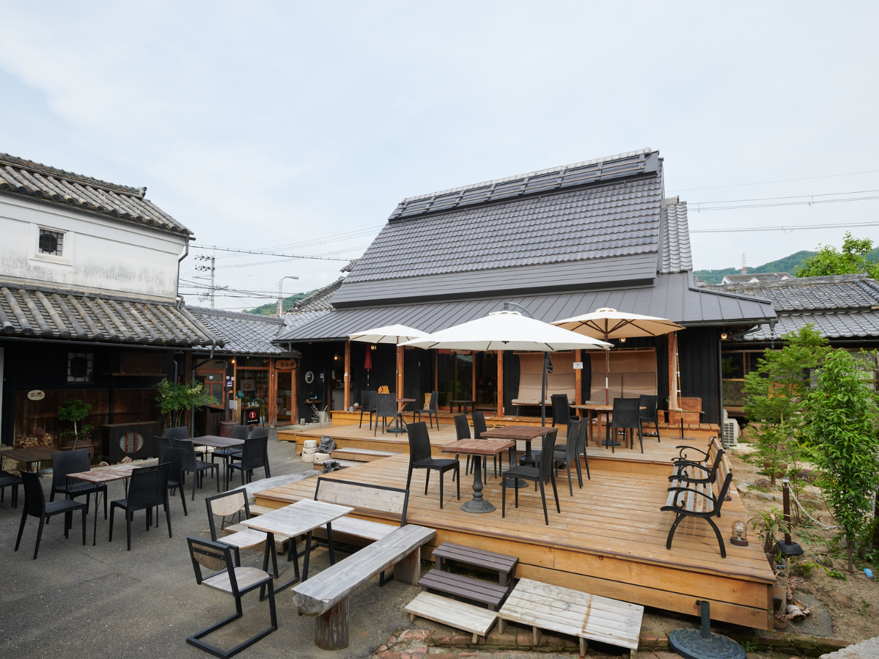 eXɂ͖͓IȖ{A^ǂ΃T̕Xɏo邩AA