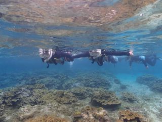 世界に誇る宮古島の海を自分の目で楽しもう!