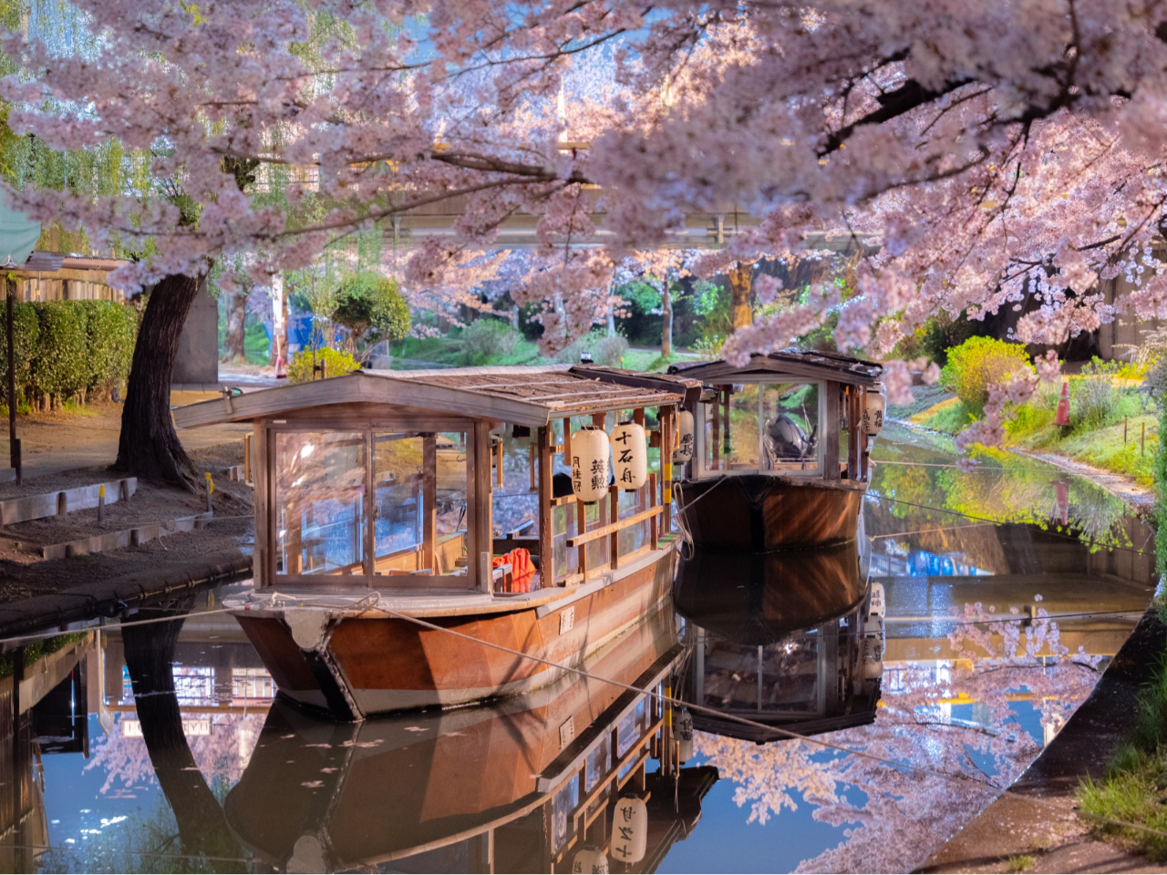 【伏見の十石船】江戸時代はここから大阪へ物流の拠点として栄えておりました。今は観光船として乗船すれば伏見の風情を堪能して頂けます。