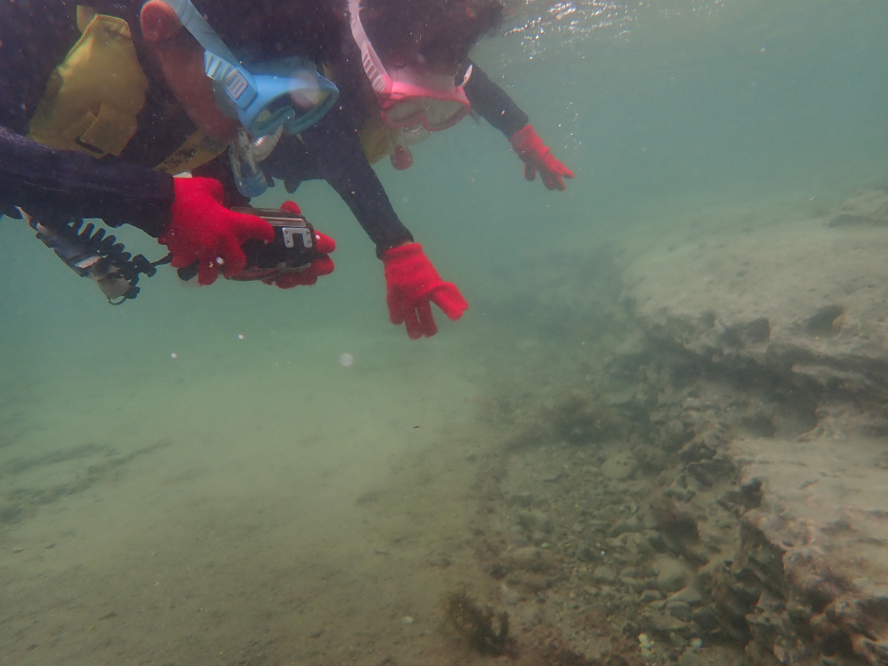 ■スノーケリング■~小学生から参加可~◎プカプカ浮きながら水中観察!水着のみで参...