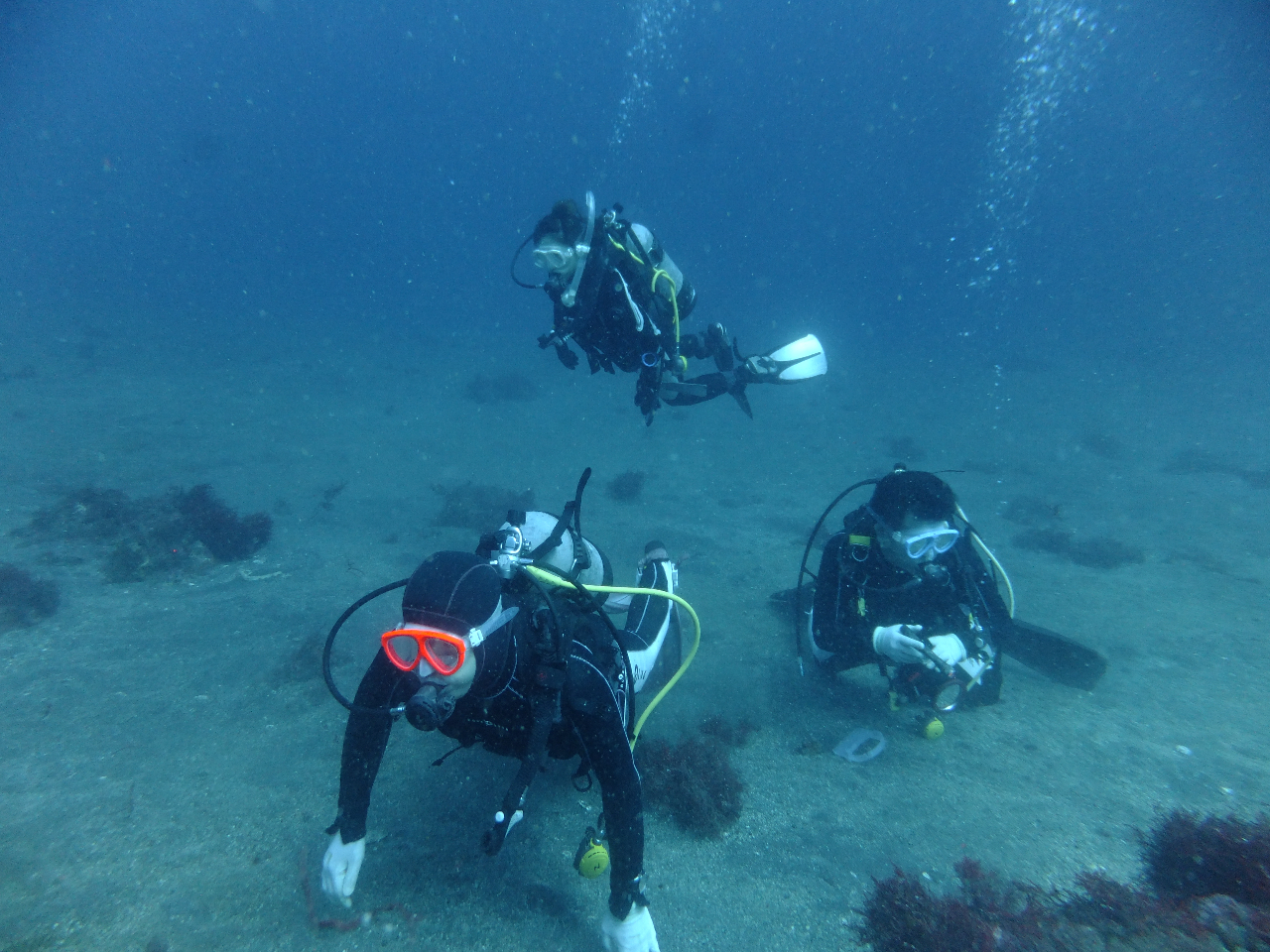 慣れてきたら沖へ