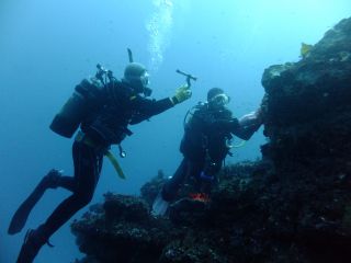のんびり水中写真撮影も!