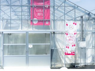 新設いちごハウス