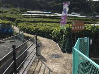 ぶどう畑の入り口です。看板が目印となります。(※駐車場は別の場所となりますので、プラン内容をご確認ください。)