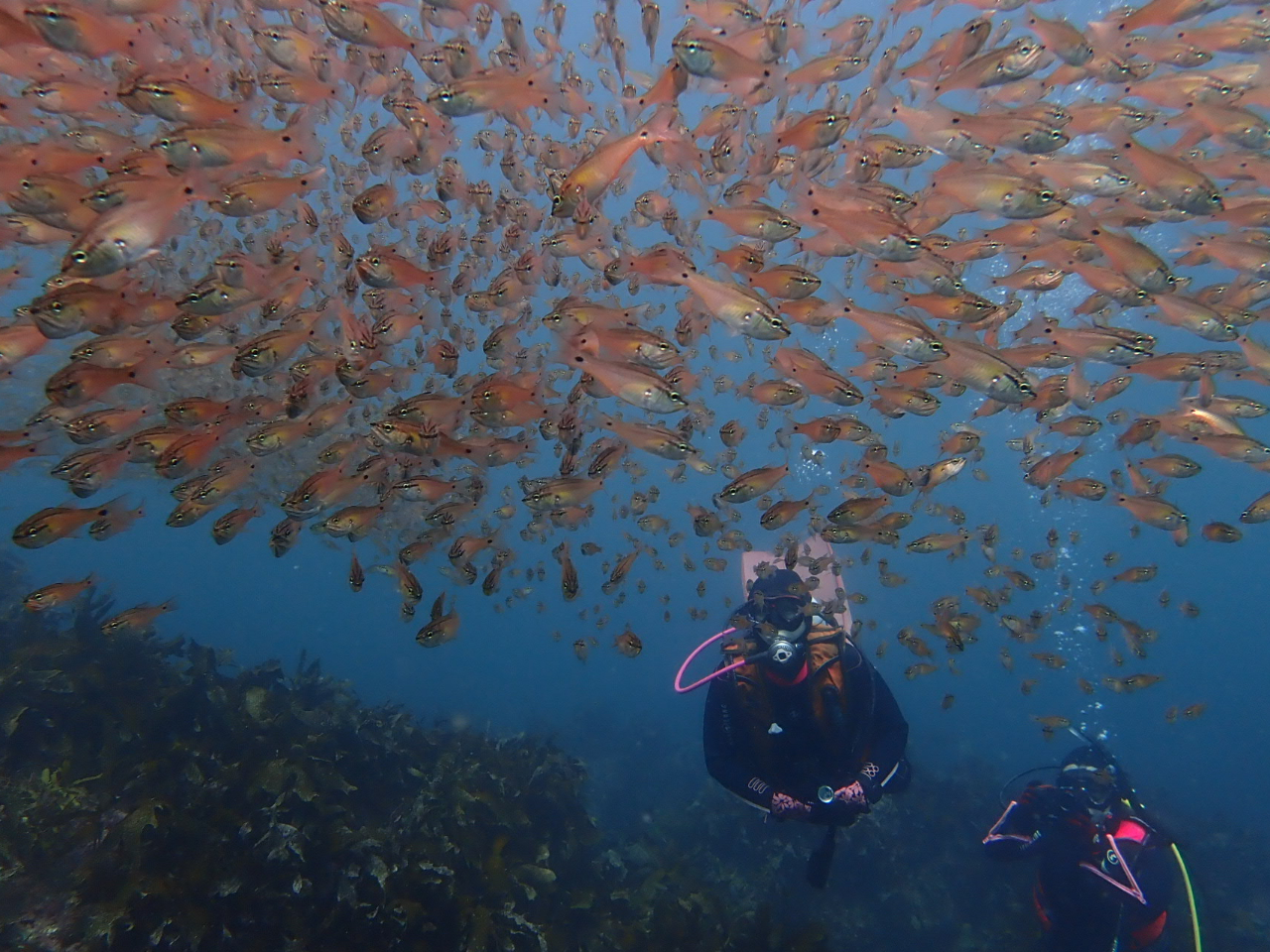 ̌y߂琥_CrOXN[ɐ\ŃZX擾ȂĉI̎ʐ^̂悤ɍXɕʐEy߂܂B