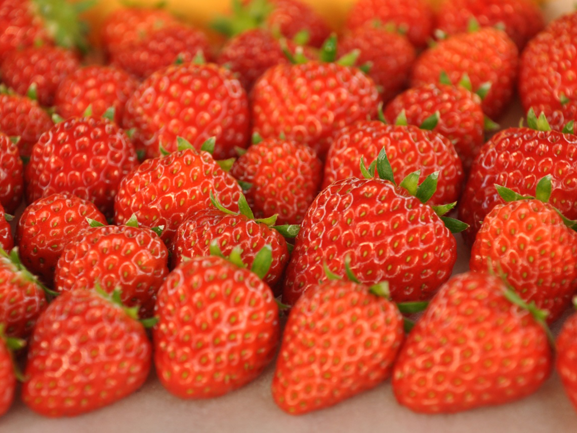 おなかいっぱいになるまで食べてくださいね!