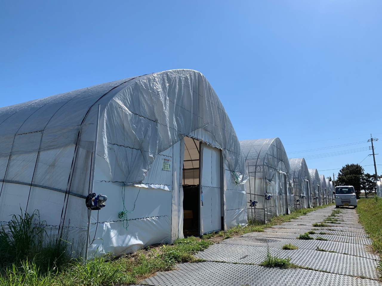 綺麗な空気とぬけるような空の下で気持ちよく♪