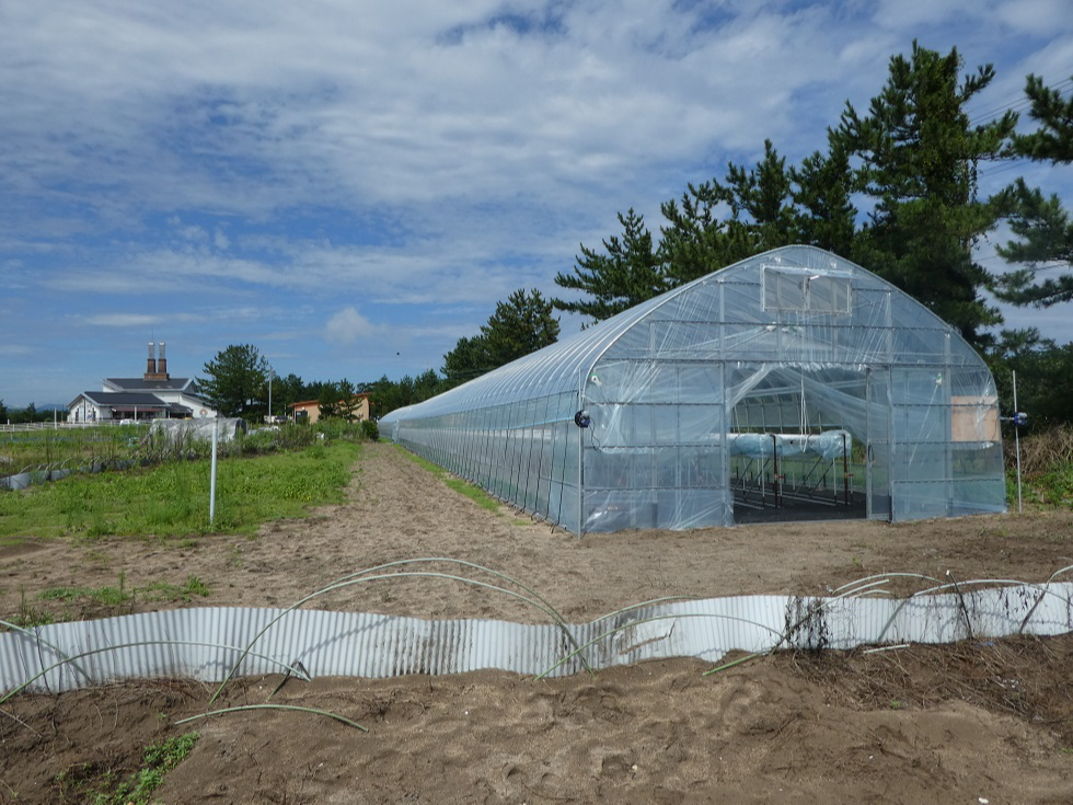 ハウスの状態をみながら、いちばん良いハウスをご案内します♪