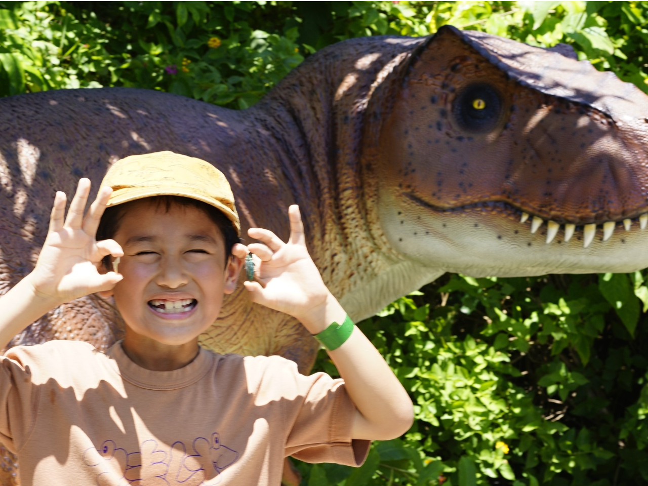 yWVbNGAz{̉΂邱Ƃł΁AőSĎAOKI