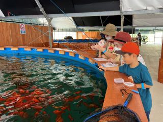 【熱帯魚釣り】たくさん釣れてお子さまでも楽しめる!