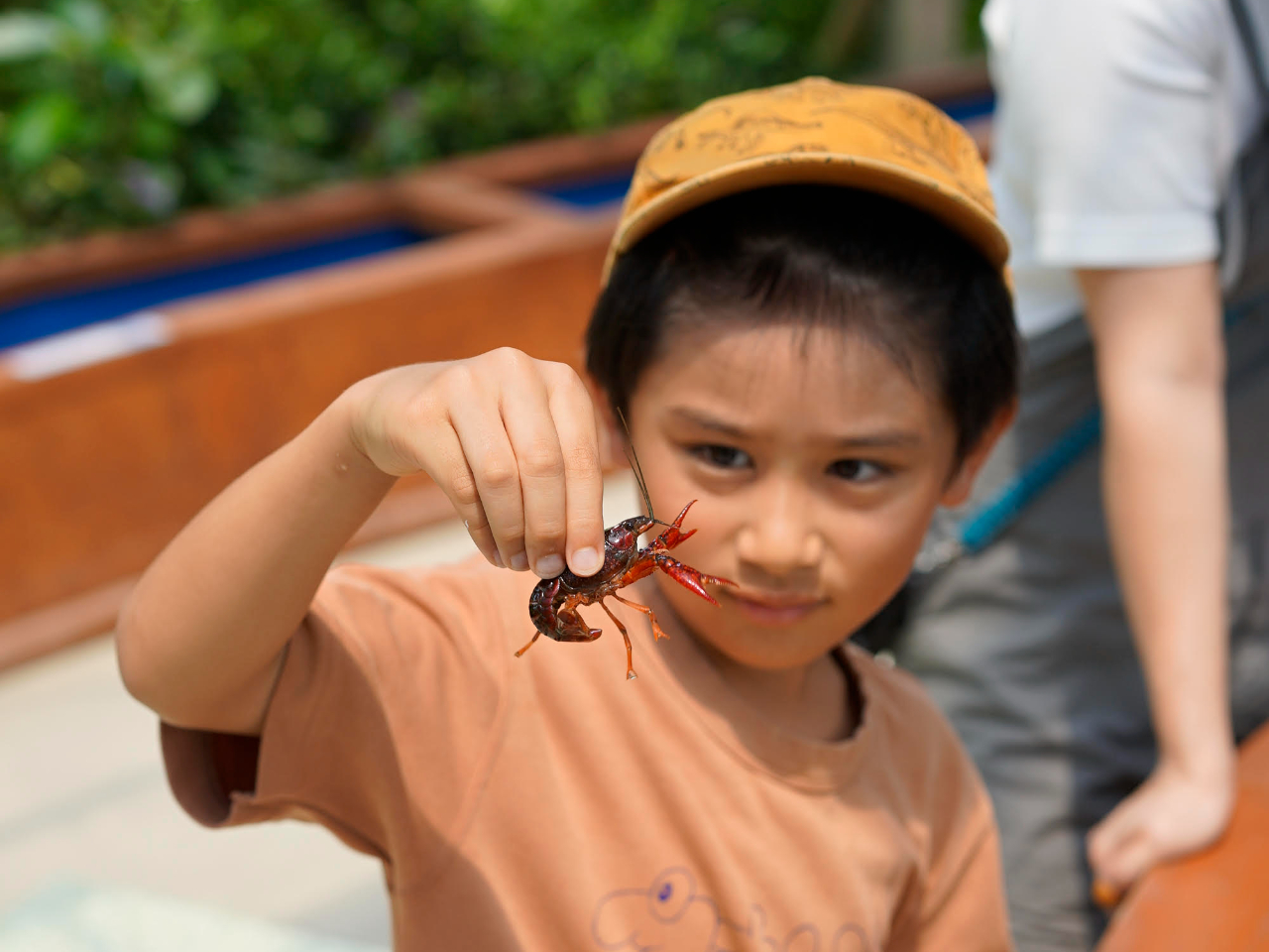 y΂GAzUKjނECނEǂނEMы@̗Vтł܂IނꂽUKjECoĐGĂ݂܂I