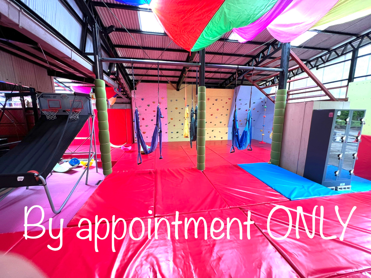 aBBQAX|[č̊yԂɍœKȑݐ؃vBlm̃}`bNȎԂɂg܂B15܂