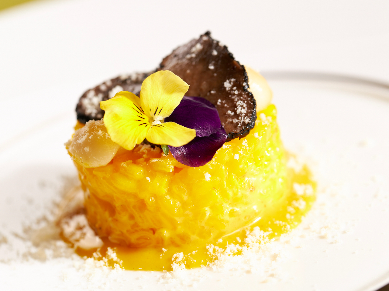 �T�t�������]�b�g