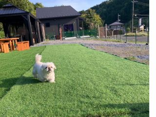 東屋とドッグラン