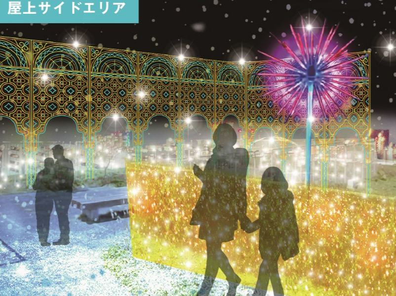 ɂ͋ȋ{aoBN₩ȉ͖̍̂悤łB