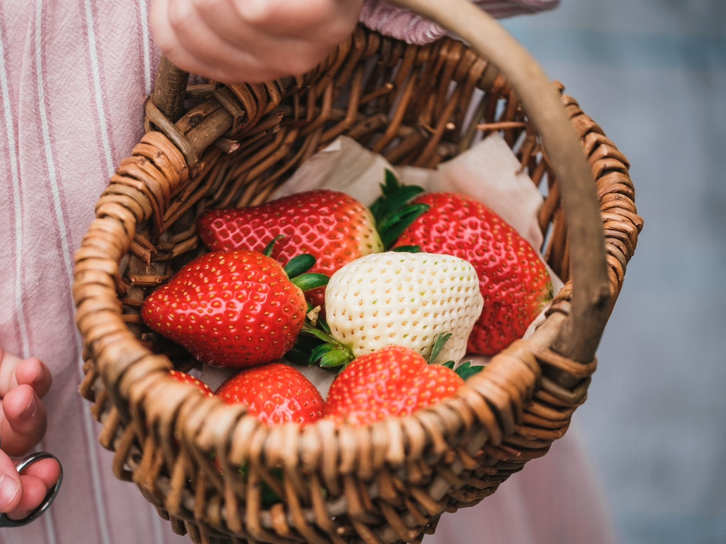 �J�S�����n���v���܂��B�E�ݎ�����C�`�S�����Ă��Ȃł�����肨�y���݂��������܂��B