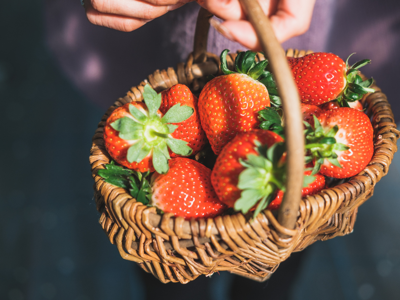 �J�S�����n���v���܂��̂ŁA�E�ݎ�����C�`�S�����Ă��Ȃł�����肨�y���݂��������܂��B������񂻂̏�ŏ����オ���Ă��������Ă��\���܂���B