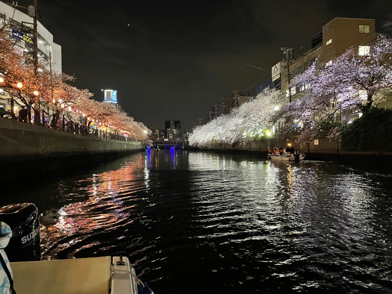 �t�̍��̐�ʂ��̂�т�Ƃ��ē��������܂��B