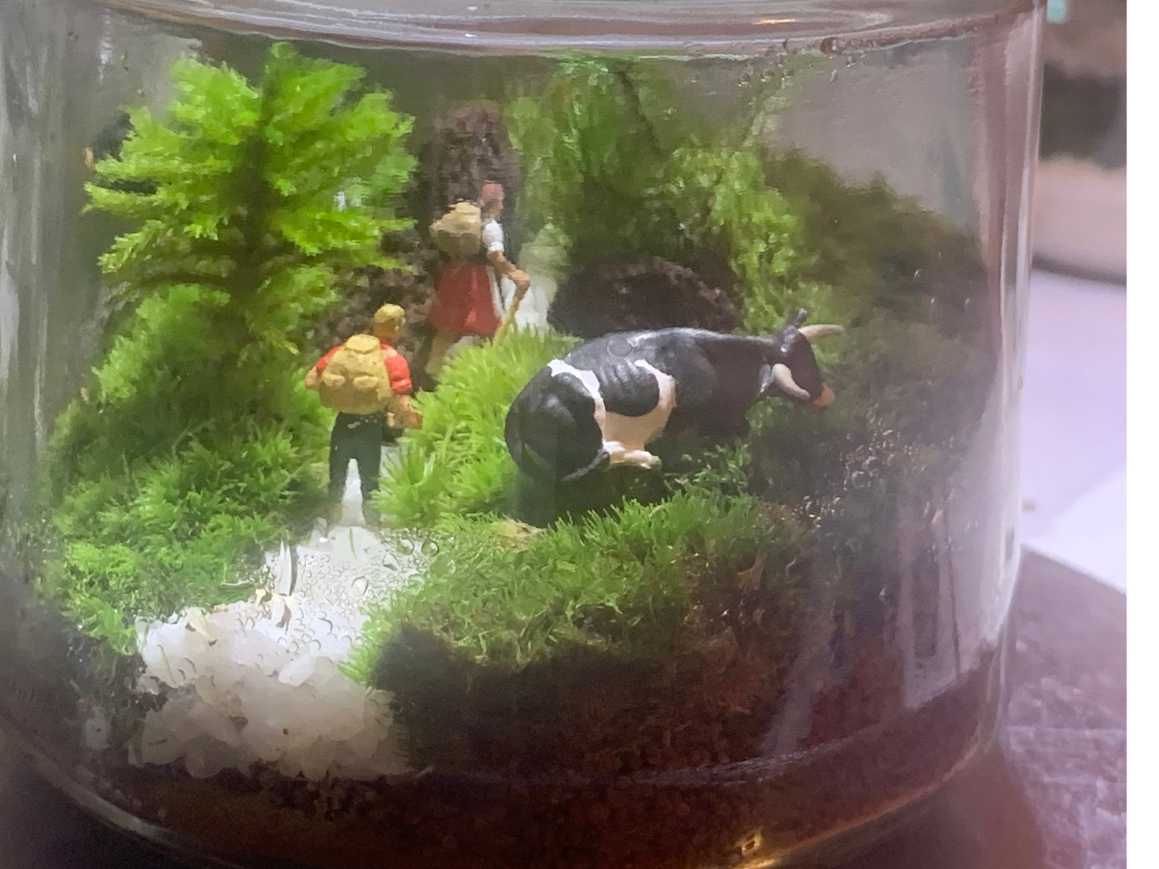 �o�R�t�B�M���A����ꂽ��i�ł��B�~�N���̐��E�����܂��B