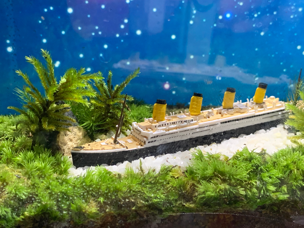 �^�C�^�j�b�N����ꂽ�R�P�A�[�g