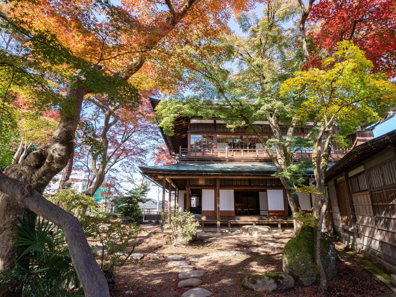 ����J�����̊� ���e�@�̎ʐ^2