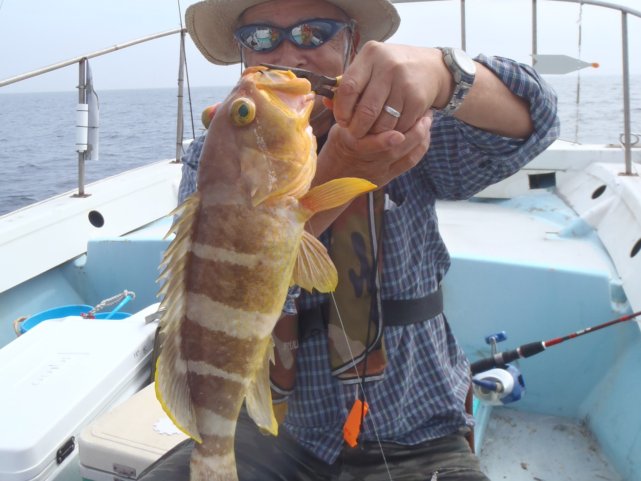 タイラバでアオハタGET