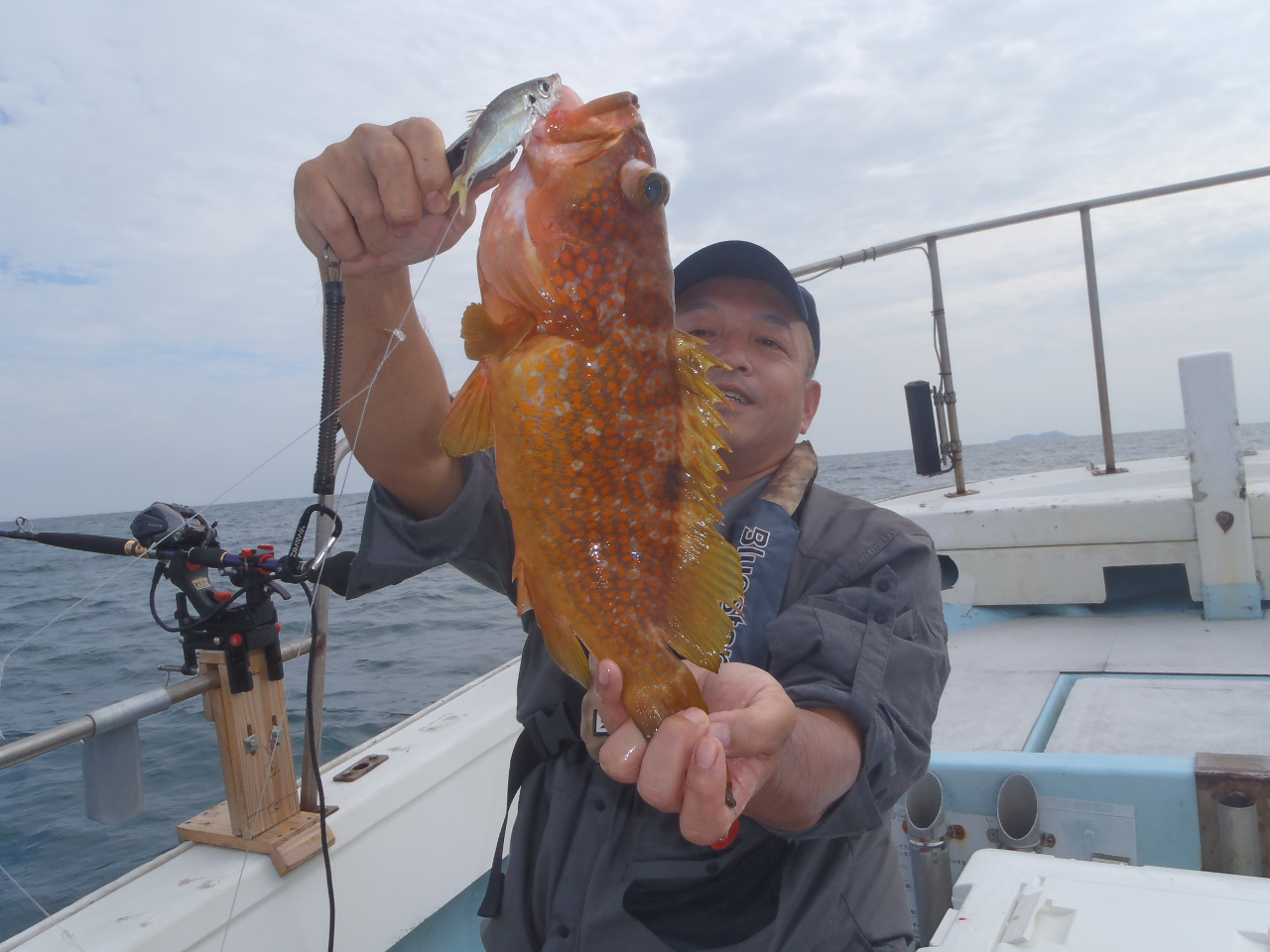 タイラバでキジハタGET