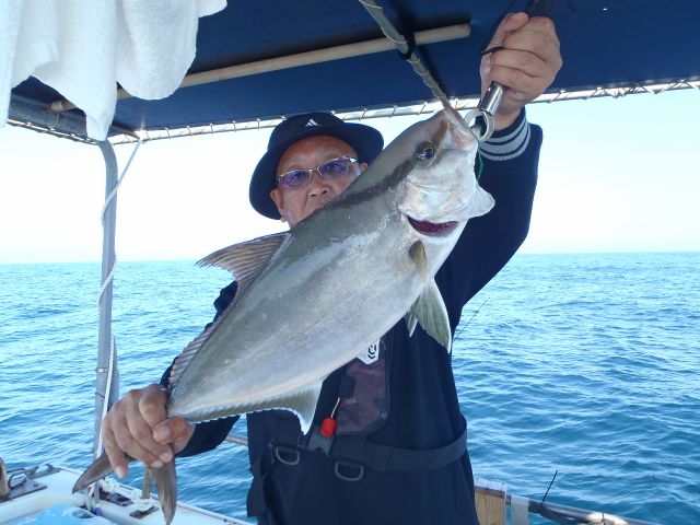 タイラバでカンパチGET