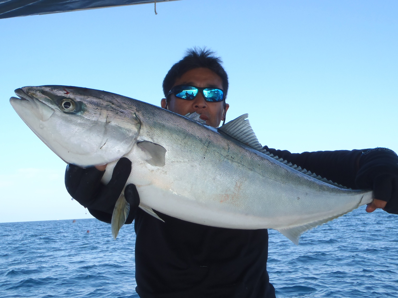 11キロ強のブリ