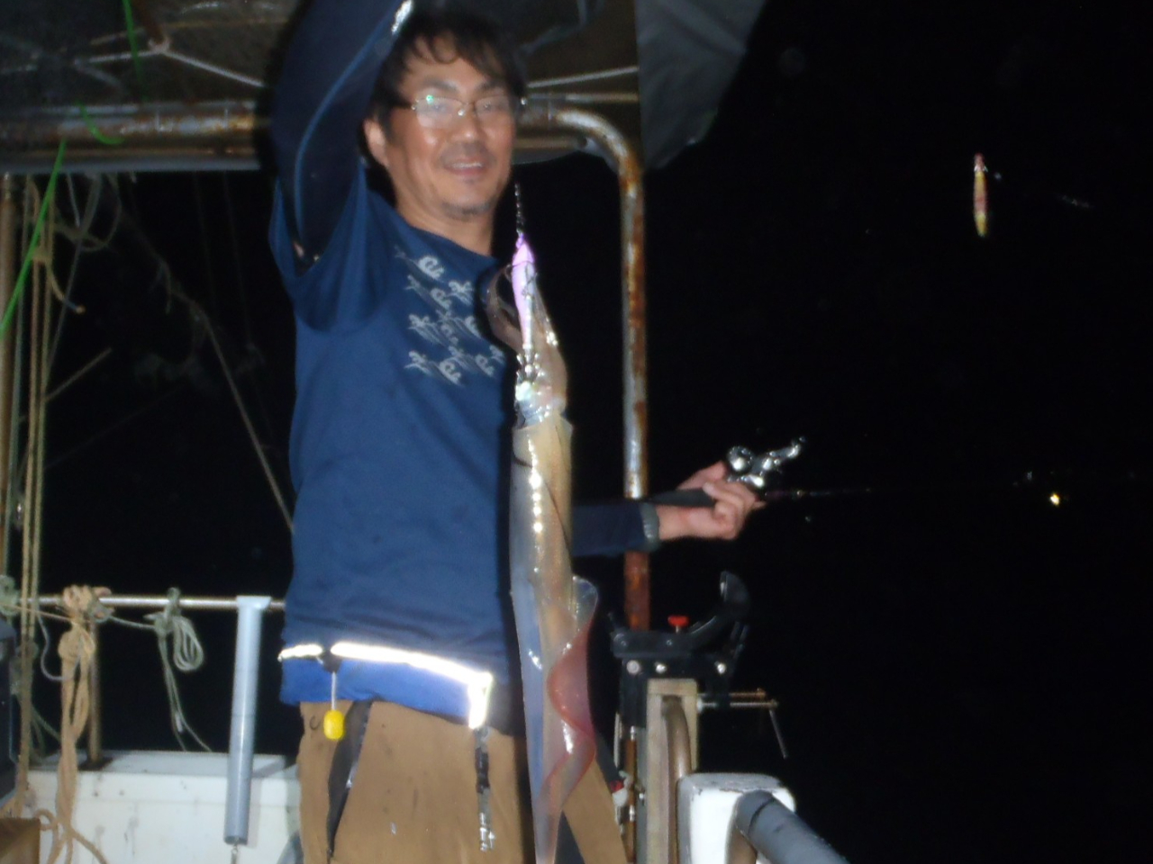 ビッグサイズのケンサキイカ