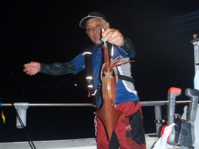 ビッグサイズのケンサキイカ