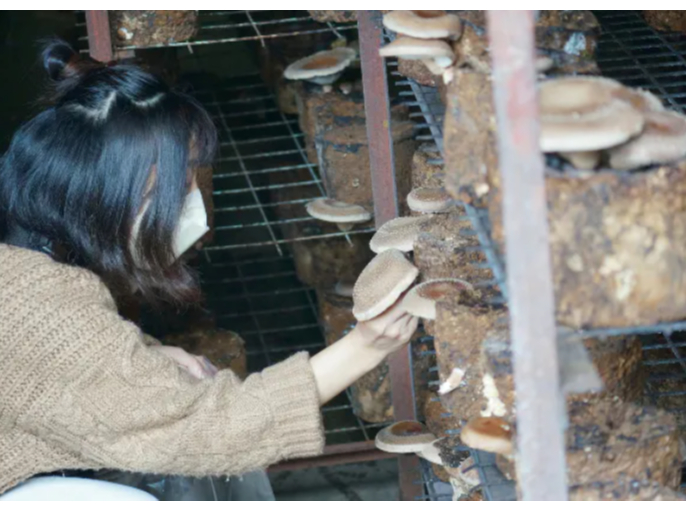 ɂɂ񂫂̂Îɂł傤H(*^^*)