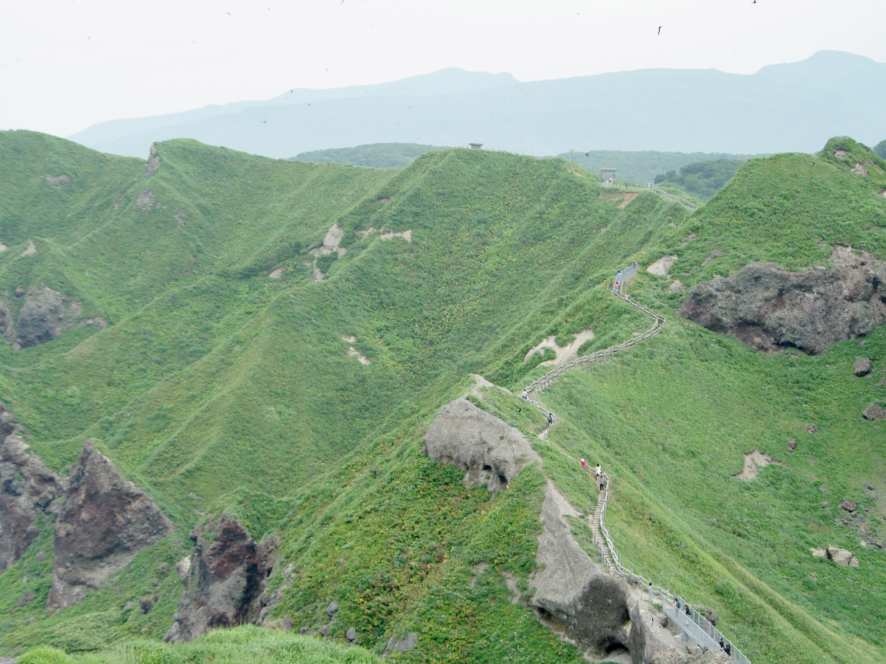 �g���{�n�C���[������Ђ̎ʐ^4