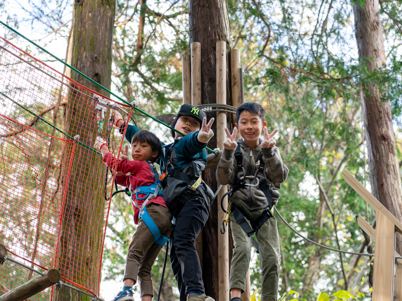 【トライアルコース】全2コース・身長110㎝からOK!リスのように木々を渡って遊...
