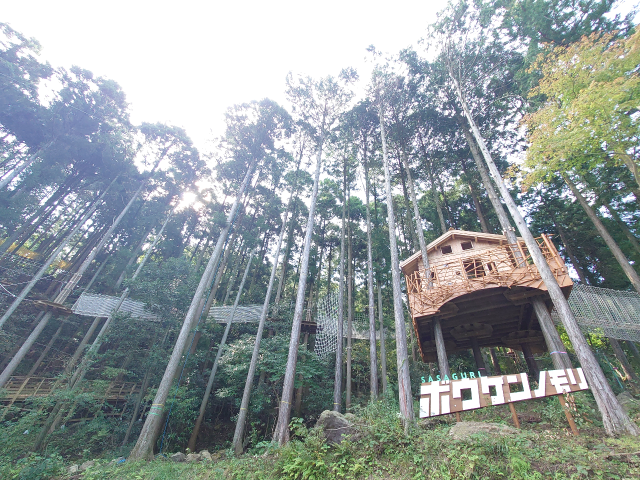 【アドベンチャーコース】全5コース・140㎝からOK!スリルと興奮の非日常体験♪...