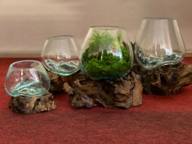 苔アート体験 テラリウム 霧吹き 水やり お手入れ 一切不要の苔 モスチャー 小さな苔の世界を旅しよう ファミリー カップル 女性におすすめ 日本苔アート協会 じゃらん遊び体験 苔アート体験 テラリウム 霧吹き 水やり お手入れ 一切不要の苔 モスチャー 小さな苔の世界を旅しよう ファミリー カップル 女性におすすめ 日本苔アート協会 じゃらん遊び体験