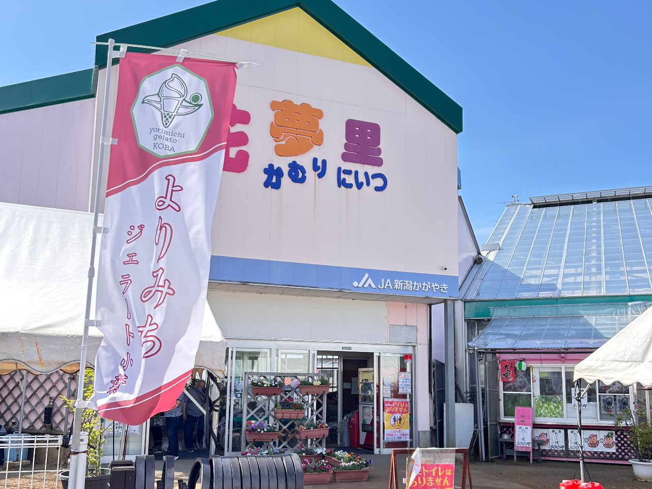 新潟市秋葉区】エアプランツをオシャレに飾る！グラスサンドアート