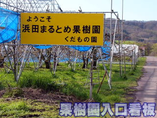 種類豊富 秋の味覚 ブドウ狩り リンゴ狩り 浜田まるとめ果樹園 じゃらん遊び体験