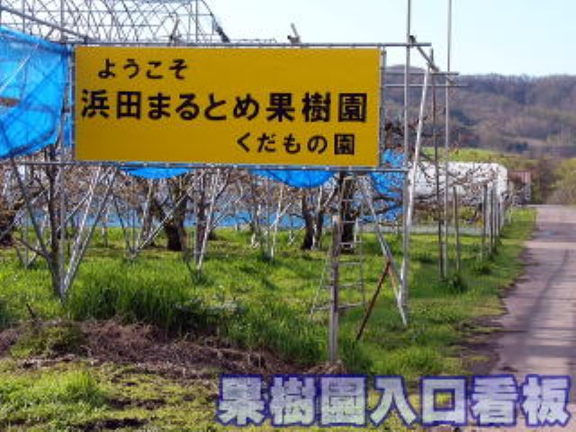 種類豊富 秋の味覚 ブドウ狩り リンゴ狩り 浜田まるとめ果樹園 じゃらん遊び体験 種類豊富 秋の味覚 ブドウ狩り リンゴ狩り 浜田まるとめ果樹園 じゃらん遊び体験