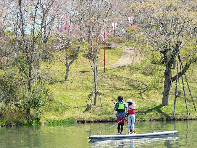 ダムや湖でゆったりと水上散歩