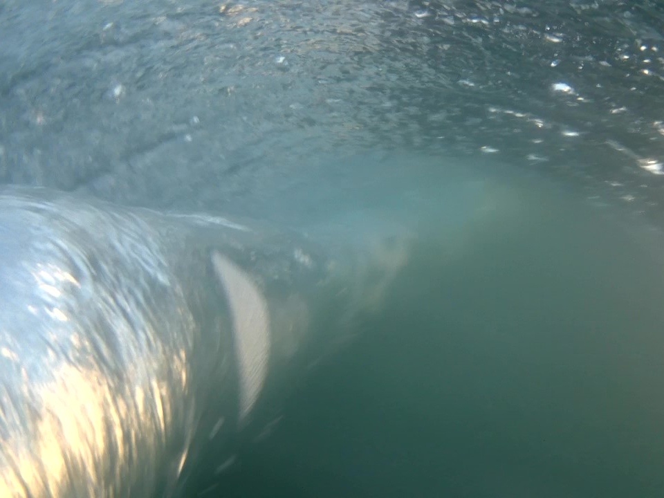 【目からウロコ】サーフィンレッスンをしているからこそ、波についても深くレクチャーいたします。