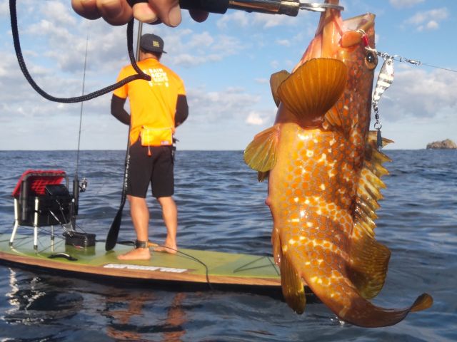 上達してSUPフィッシング!レッスンもあります。