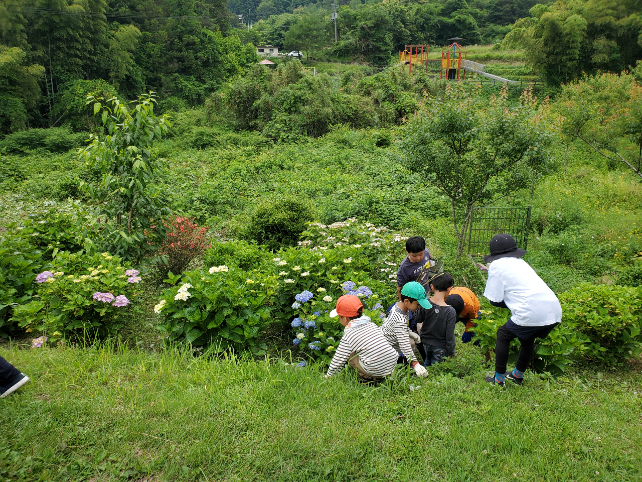 Ƒ݂Ȃŋ͂Đ̂̏W܂B