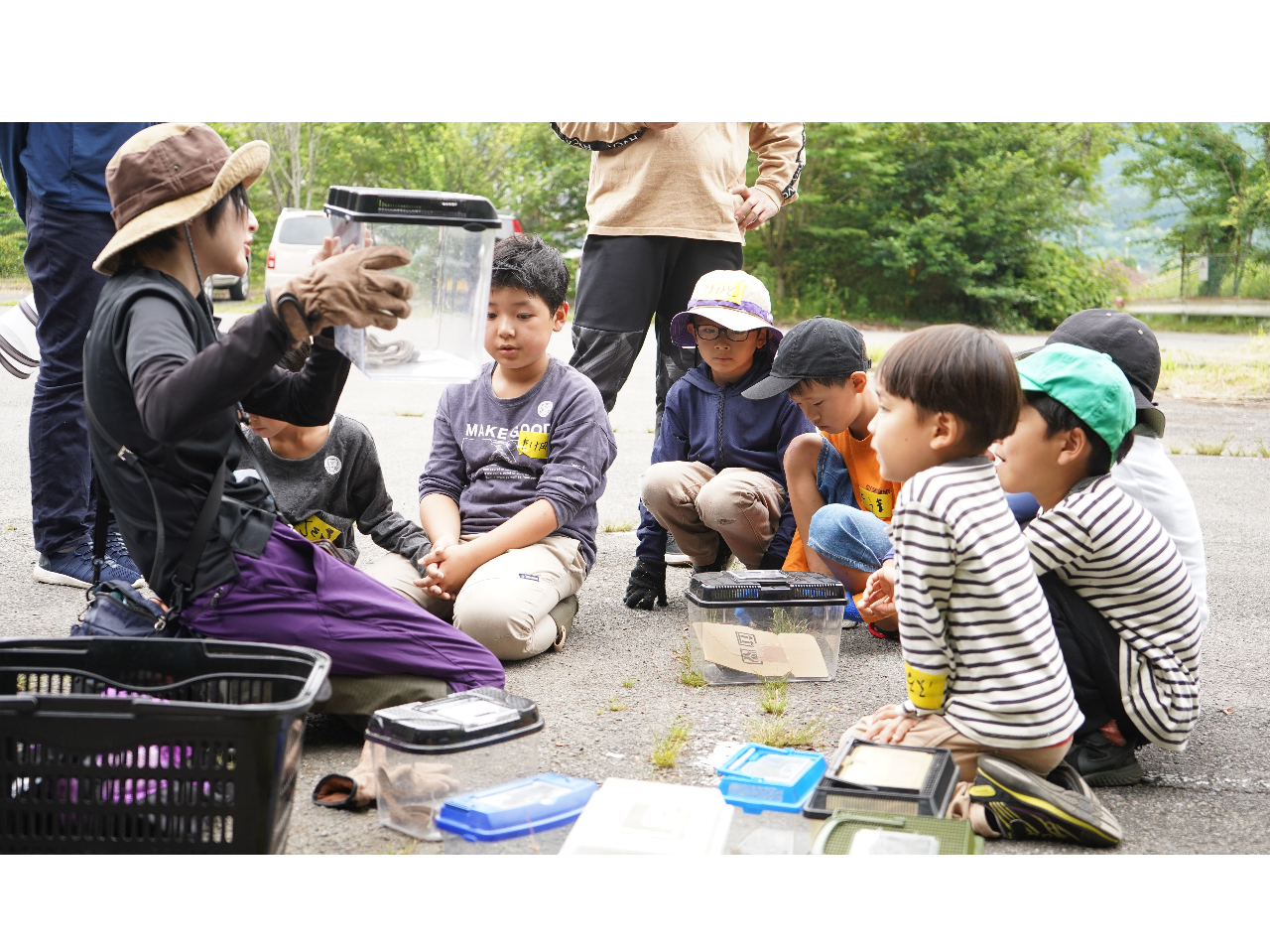 ̏Ŵ́AŌɃKCĥ̂␶ԂȂǂɂĕ₷܂B𕷂ΒN঒ޔmɂȂ܂I