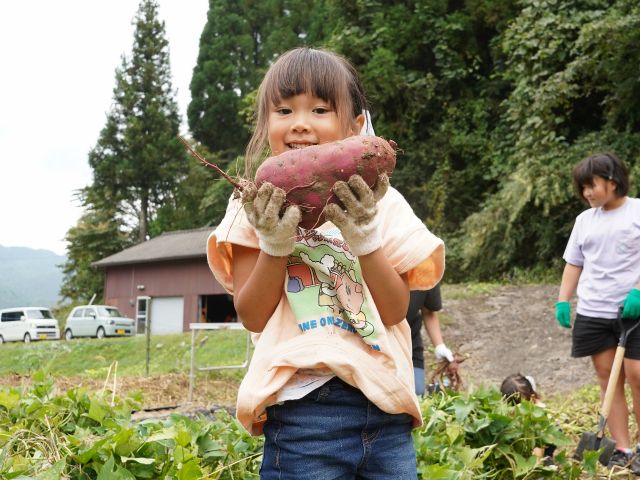 立派なサツマイモに笑顔がはじけます!