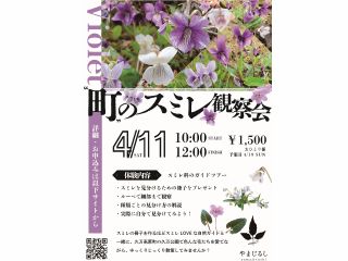 当日のフライヤーです