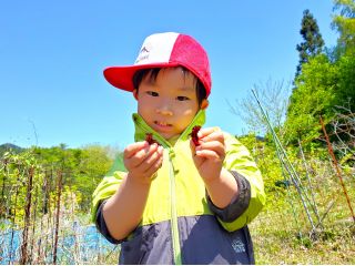 自分の手でアカハライモリを捕まえてご満悦♪