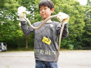 こーんな大きいヘビと出会えるかも!?